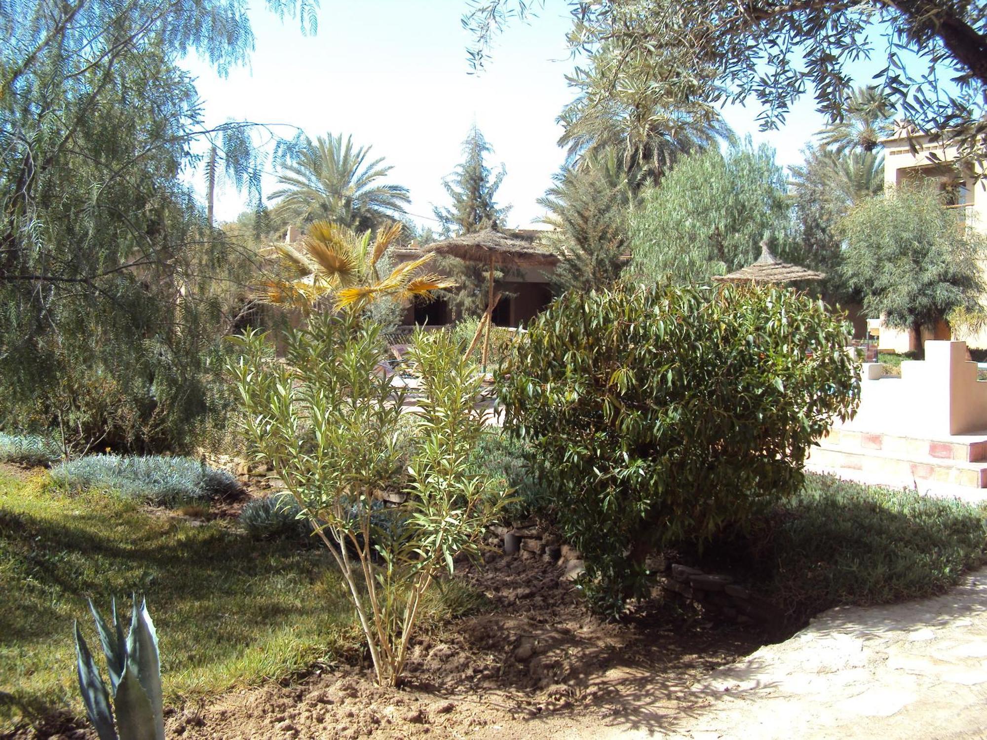 Dar Lorkam Bed & Breakfast Скура Екстериор снимка