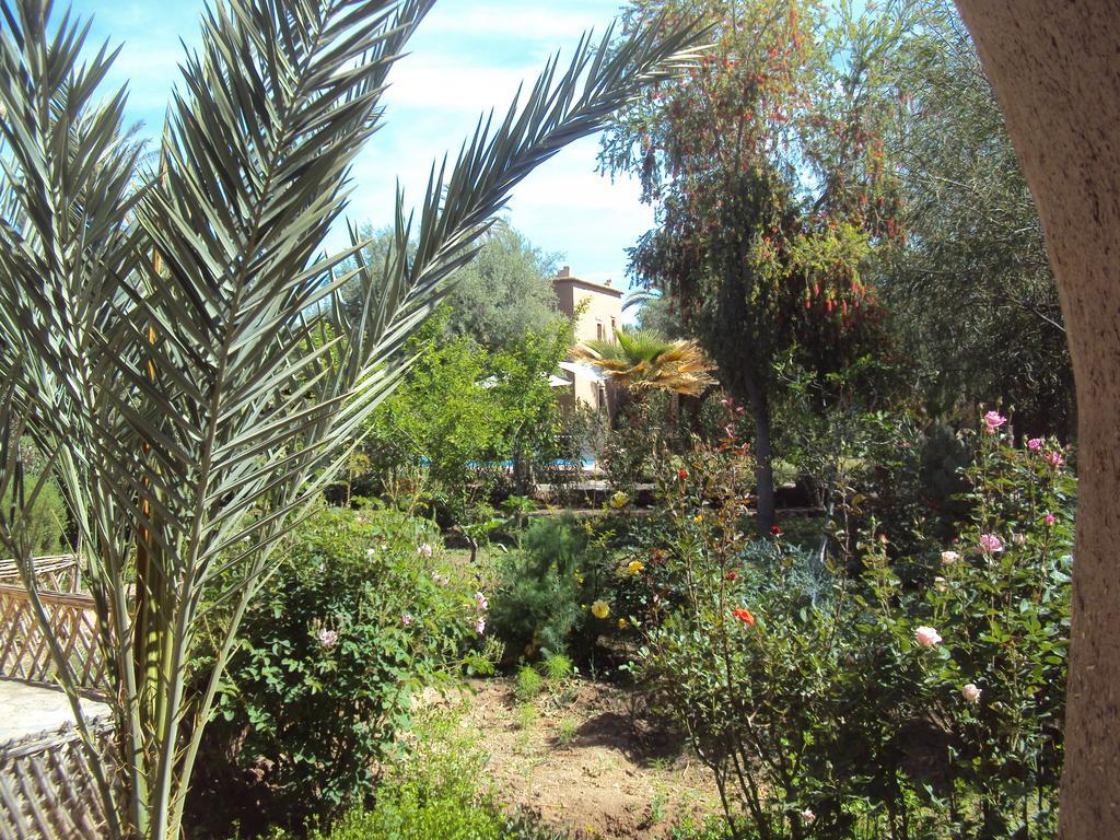 Dar Lorkam Bed & Breakfast Скура Екстериор снимка